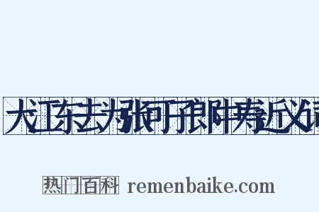 大江东去为张可子郎中寿近义词是什么意思的图片